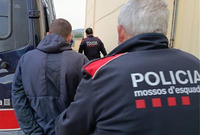 Detingut un home i desmantellada una plantació de marihuana en una nau industrial de Llorenç del Penedès. Mossos d'Esquadra
